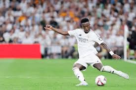 2024歐預賽愛爾蘭1-2荷蘭 範迪克犯規送點 鄧弗裏斯助攻韋霍斯特助荷蘭鎖定勝局!.